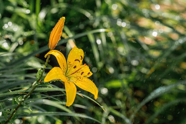 Similar image 21438003