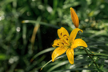 Similar image 21438005