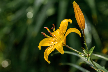 Similar image 21438006