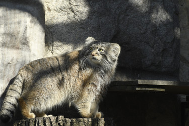 Similar image 21435929