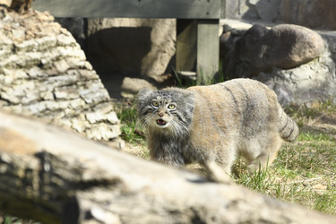 Similar image 21436479