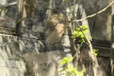 Similar image 21436481