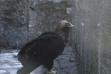 Similar image 21436485