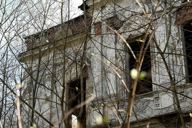 Similar image 21436696