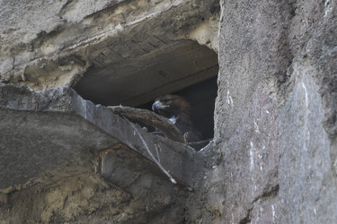 Similar image 21436697