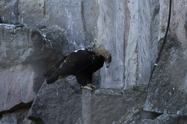 Similar image 21436699