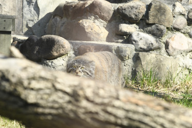 Similar image 21436701