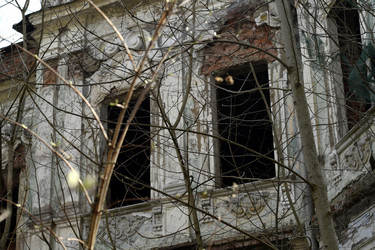 Similar image 21436702