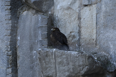 Similar image 21436703