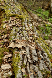 Similar image 21478873