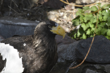 Similar image 21478874