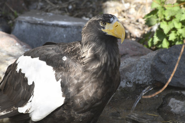 Similar image 21478877