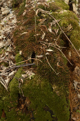 Similar image 21478878