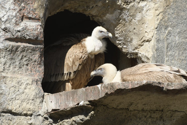 Similar image 21478880