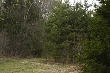 Similar image 21478883