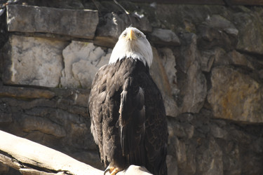 Similar image 21478885