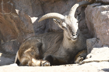 Similar image 21478886