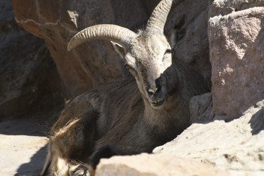 Similar image 21478887