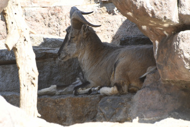 Similar image 21478888