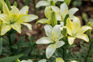 Similar image 21437342