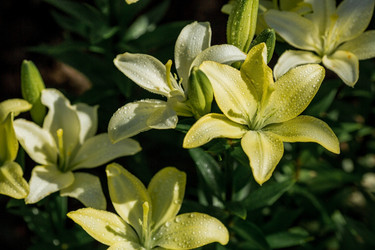 Similar image 21437346