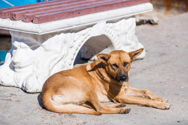 Similar image 21437353