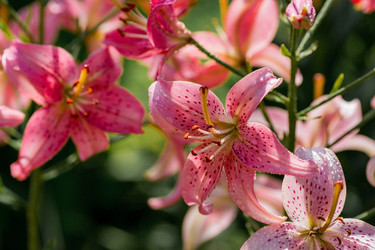 Similar image 21437356