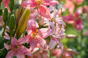 Similar image 21437359