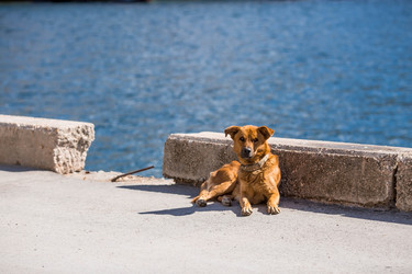 Similar image 21437360