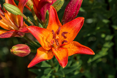 Similar image 21437362