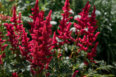 Similar image 21437363