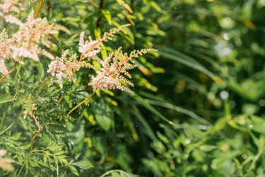 Similar image 21437364