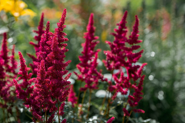 Similar image 21437365