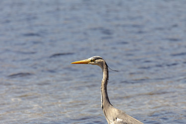 Similar image 21468198