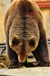 Similar image 21433540