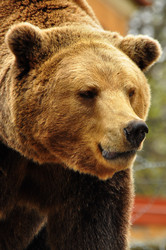 Similar image 21433541