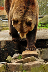 Similar image 21433542