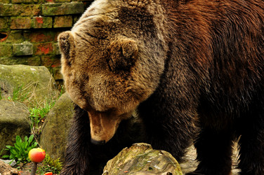 Similar image 21433543