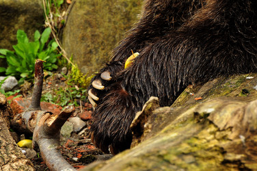 Similar image 21433544