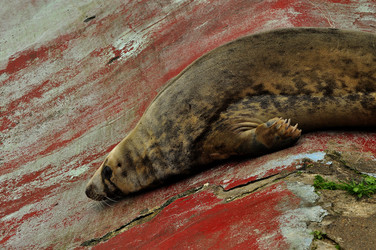 Similar image 21433545