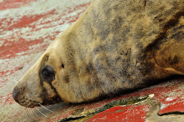 Similar image 21433546