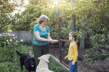 Similar image 21464138