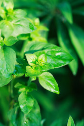 Similar image 21470761