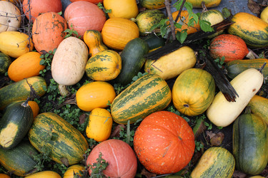 Similar image 21469452