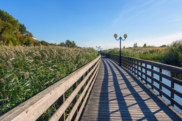 Similar image 21444447