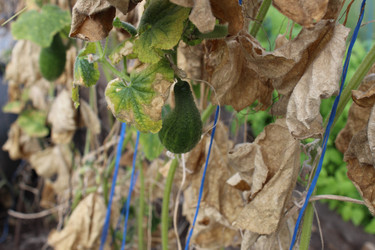 Similar image 21469454