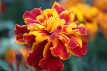 Similar image 21469457