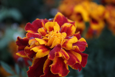 Similar image 21469459