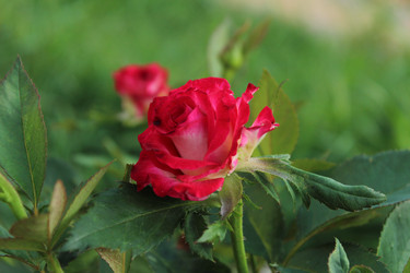 Similar image 21469464