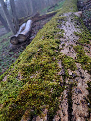 Similar image 21433563